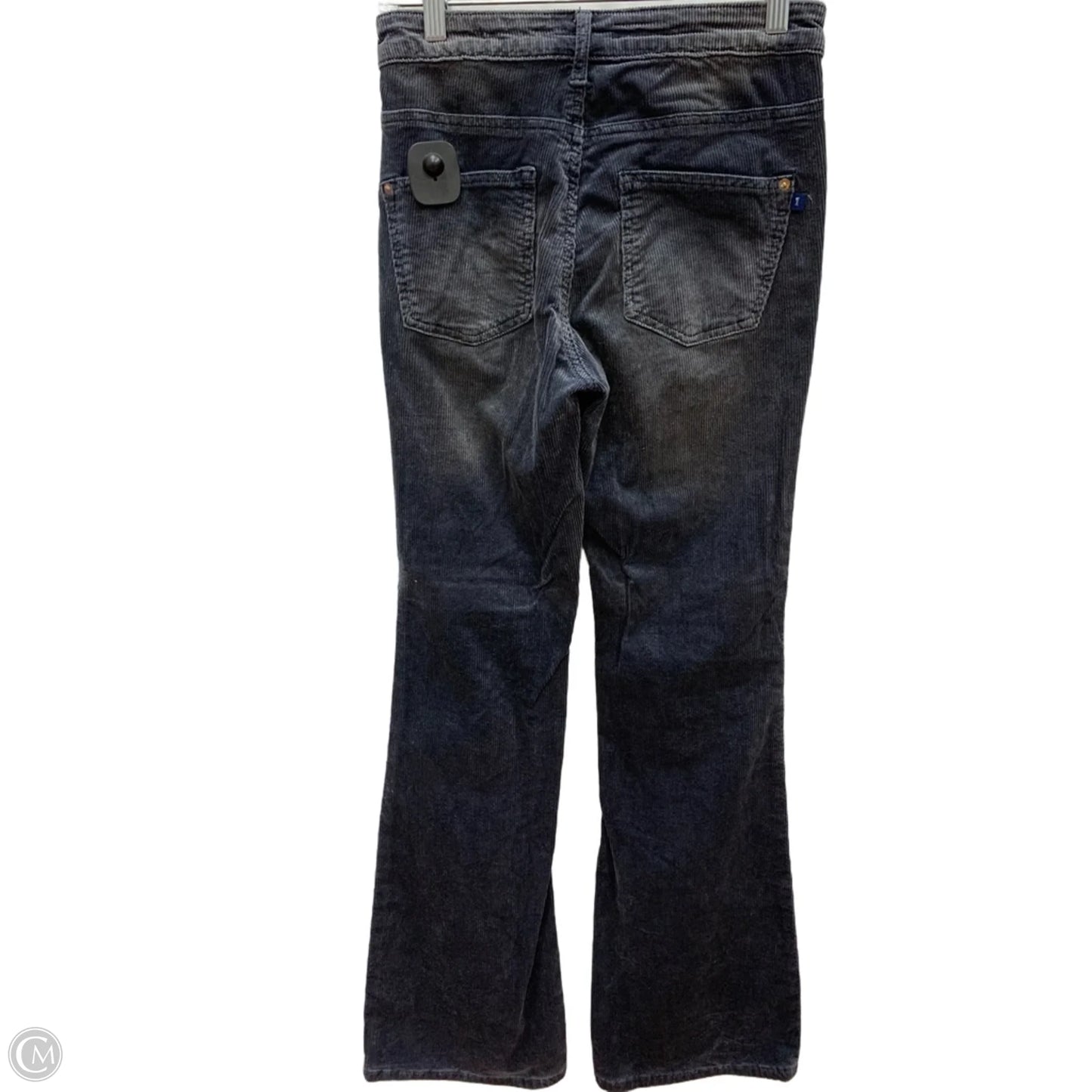Pants Corduroy By Pilcro In Grey, Size: 2