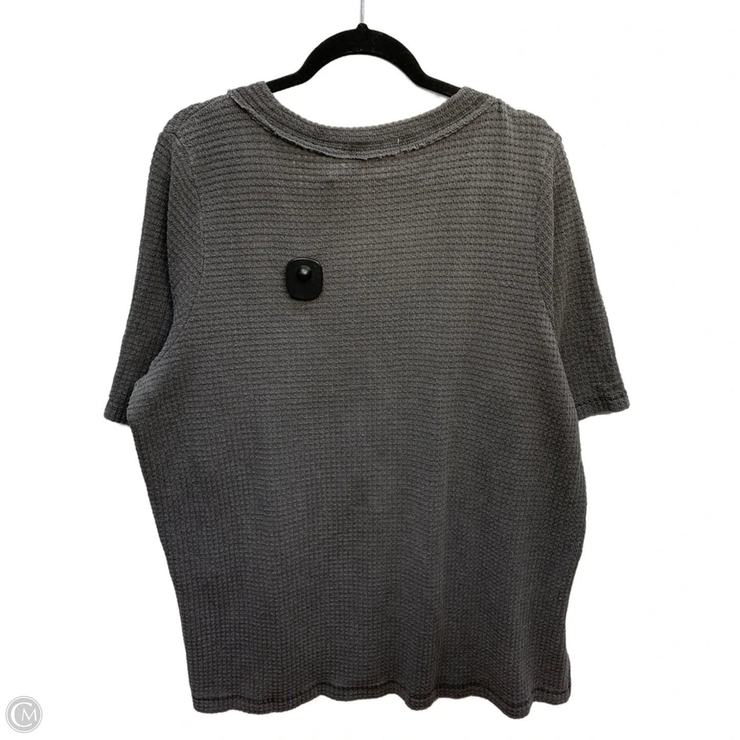 Top Short Sleeve By Torrid In Grey, Size: 2x