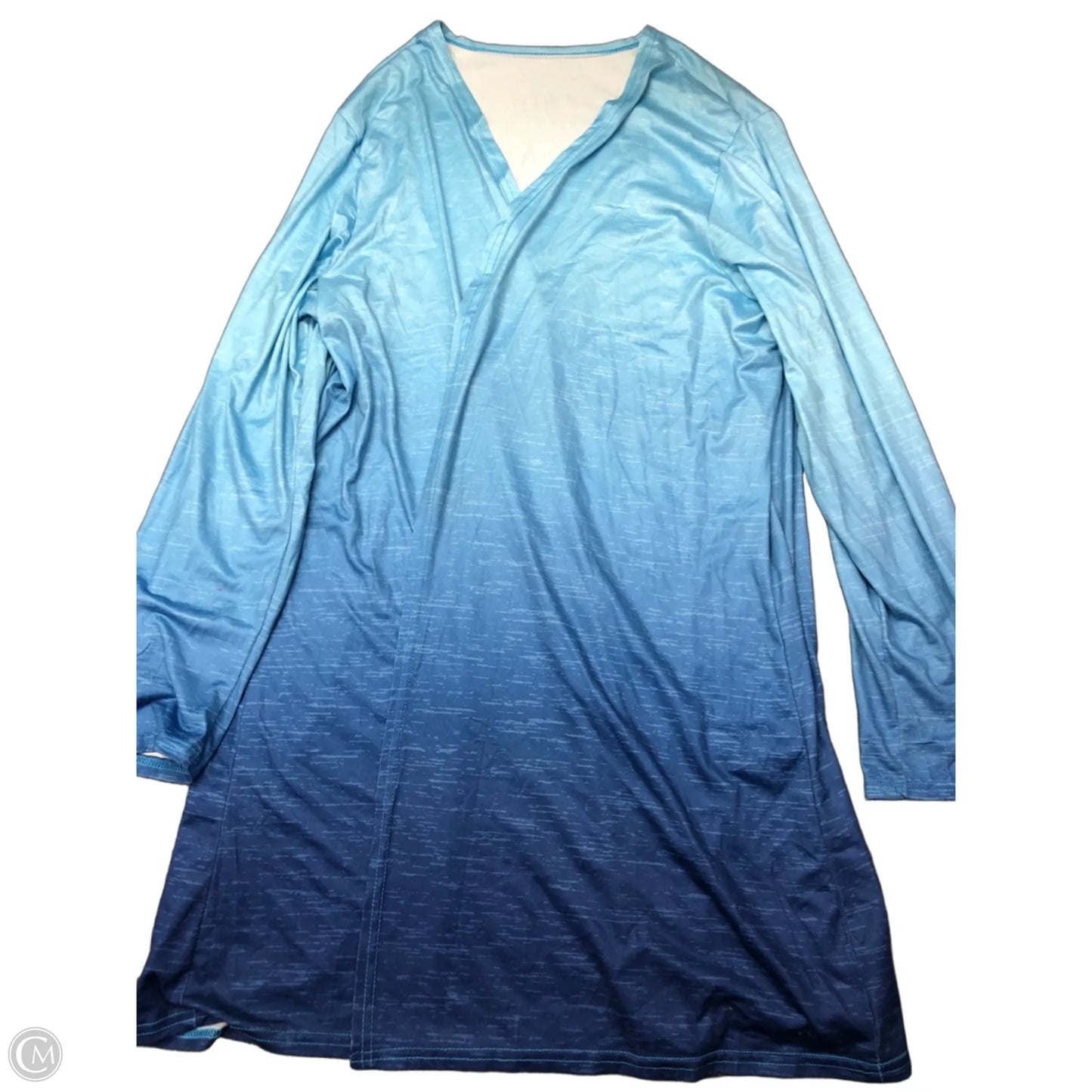 Cardigan By Clothes Mentor In Blue, Size: L