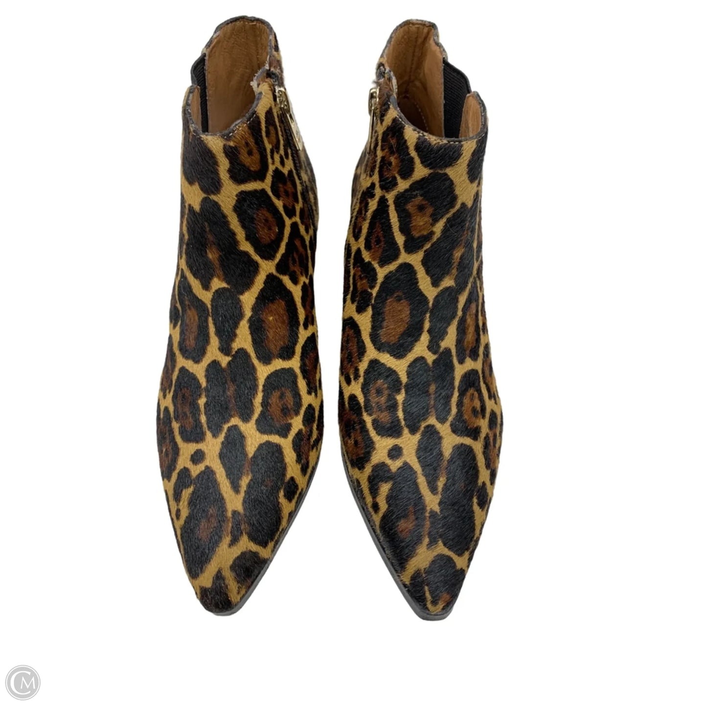 Boots Ankle Heels By Antonio Melani In Leopard Print, Size: 7.5