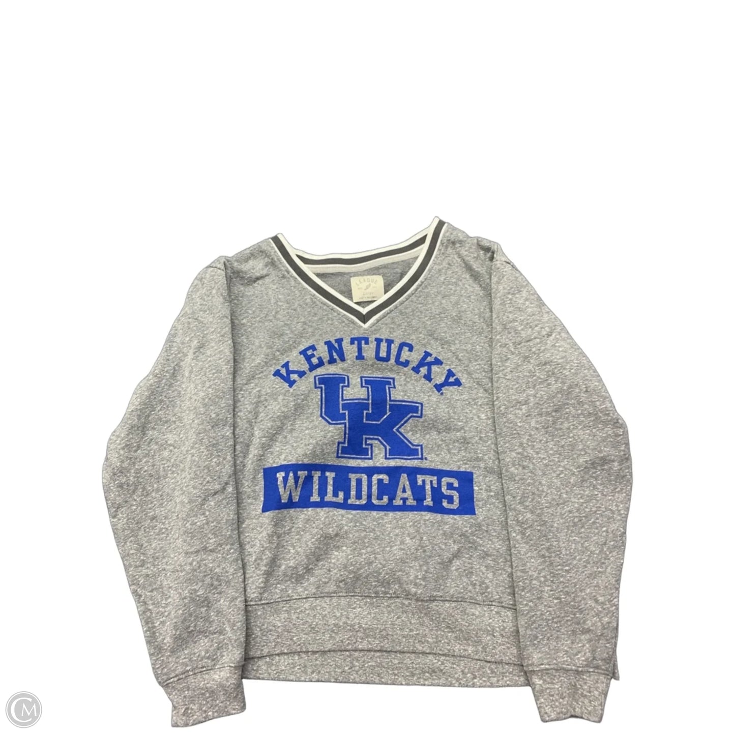 Sweatshirt Crewneck By Clothes Mentor In Grey, Size: L