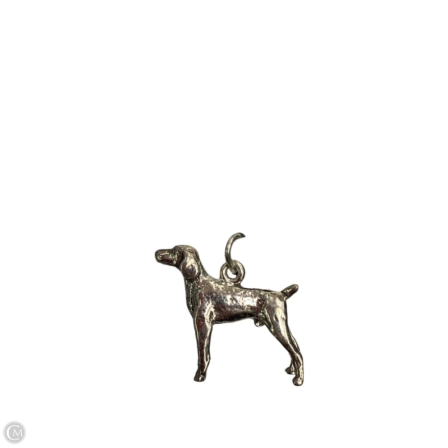 Jewelry Charm By Clothes Mentor